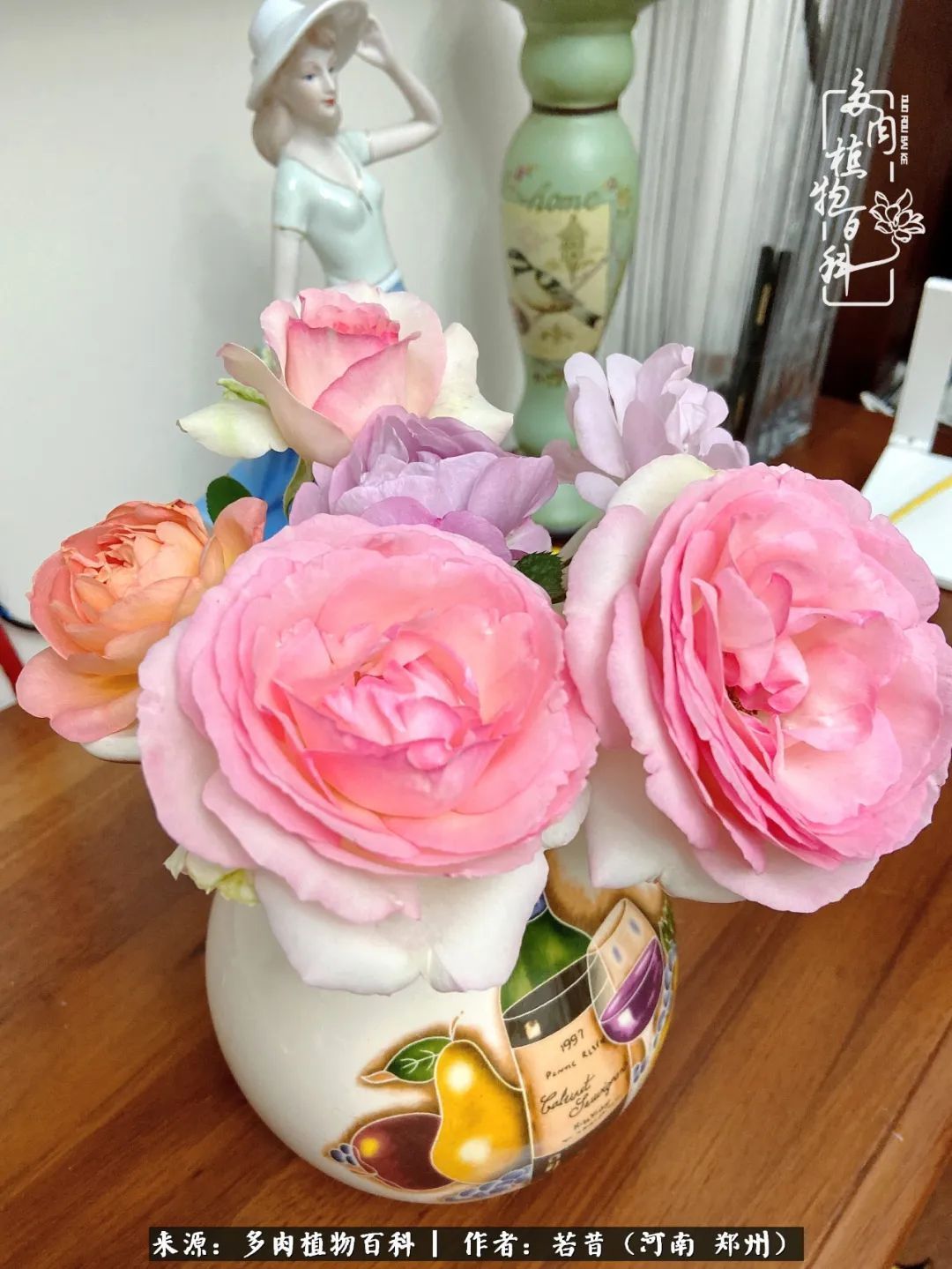 迷你小院儿，种满多肉、花草和蔬果，沉醉在自己的世外桃源！