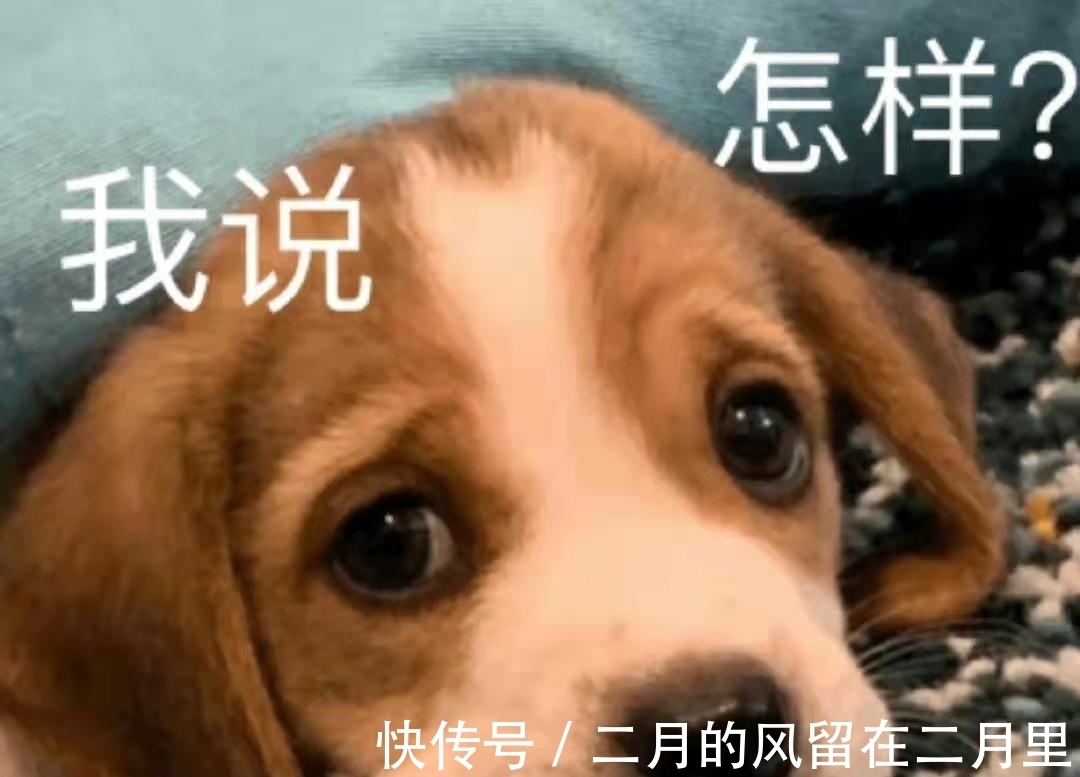 薇娅|李佳琦、薇娅的信任危机，众多消费者被欺骗，双十一活动后你的东西买贵了吗？