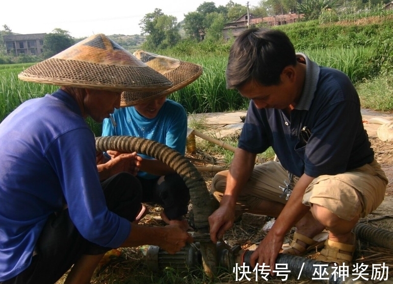 鞋子 扇了小姑子两耳光,我的婚姻散场了