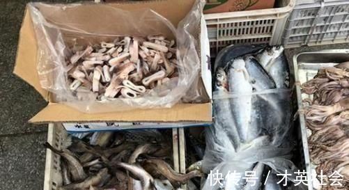 被人误解最深的鱼，因冷冻被人嫌弃，其实它比鲅鱼香，比鲫鱼营养