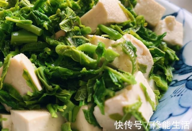 香椿芽|春天，豆腐和它才是绝配，不炒也不煎，焯下水拌一拌，太解馋了