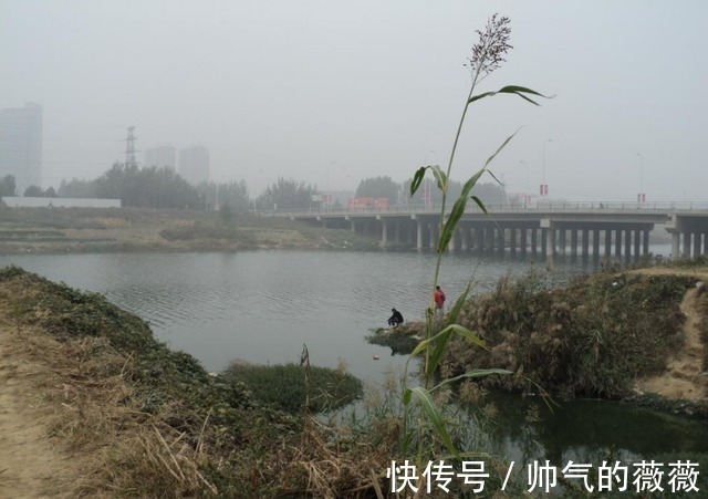 大板鲫|资深钓友都在用的“冬钓鲫”的秘诀,学会以后,大板鲫排队进窝!