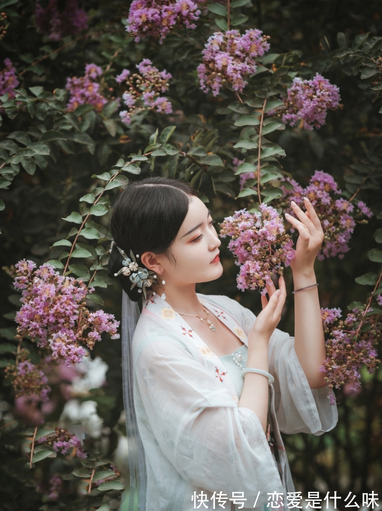 故乡|诗·九首丨抬头欲问天边雁,可否捎书到故乡?