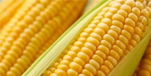  “血栓克星”被发现，每周吃一吃，常做3事，血管通畅，一生无栓