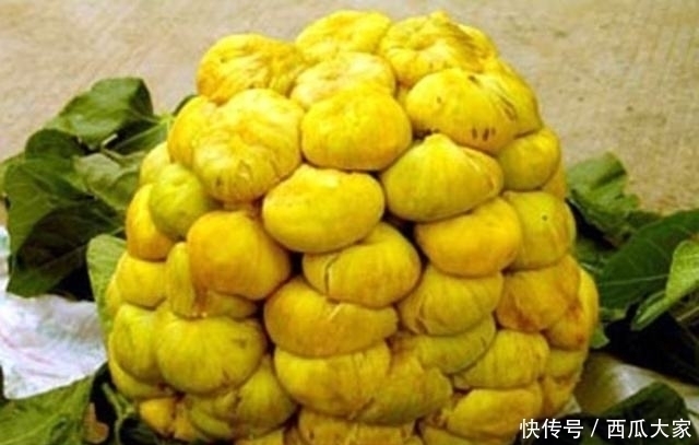 种水果|路边“烂掉”的水果10元3个,越烂越受欢迎,不烂的反而没人要