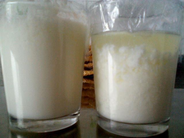 酸奶也能养兰花,15天一次,浇到根部,坐等爆盆开花就行