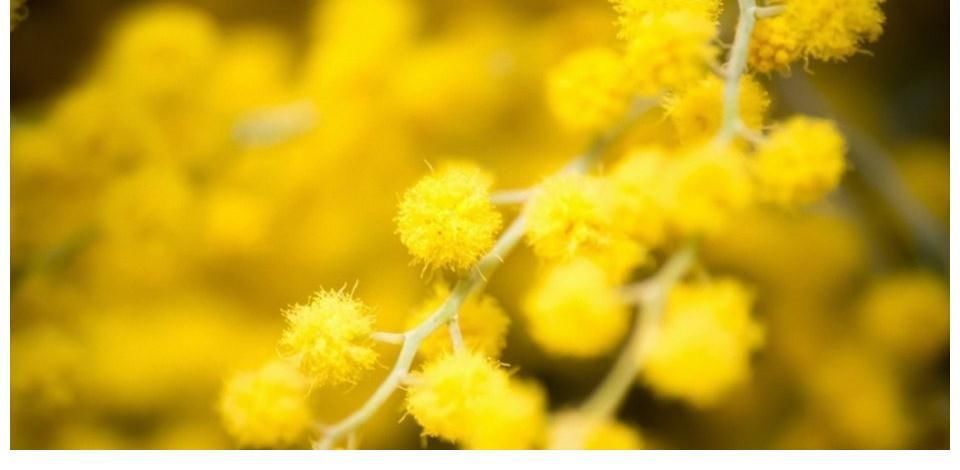 金牛座|最有“骨气”的四大星座女,不会向任何人低头,傲娇又自信!