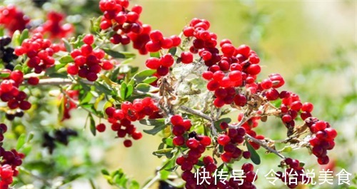 有心烦|女性不想子宫“老得快”,常吃3种食物,排毒养颜,预防子宫早衰