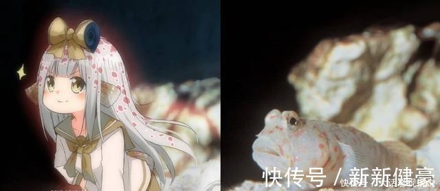 猫娘乐园|万物皆可“拟人化”,躲过可爱的舰娘和机车娘,却羡慕猫狗的爱情