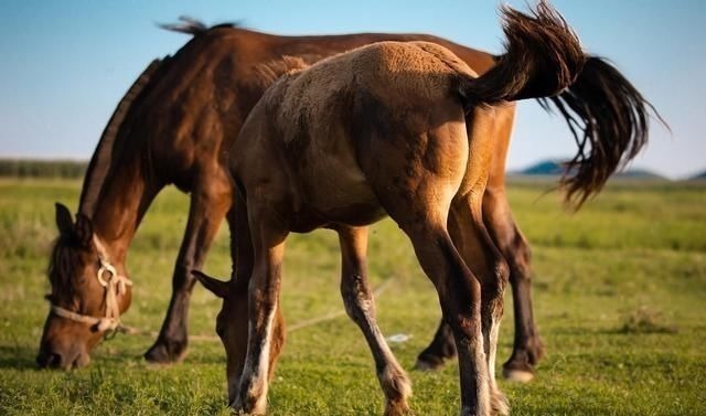 小蛮腰!8首绝句,一段闲情杯酒愁浇阳关路,葱指琵琶小蛮腰
