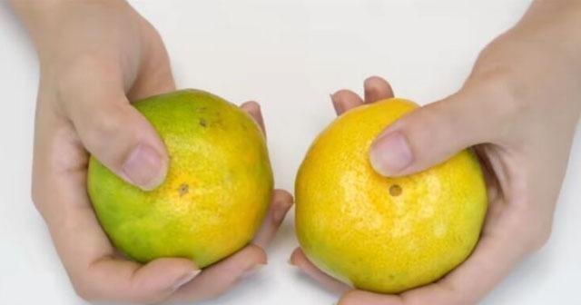 脐部|爱吃橘子的注意了,这点要知道,学会的人从不吃亏,告诉身边人吧