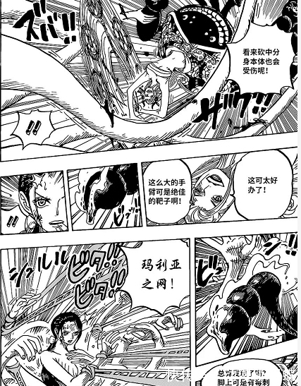 黑玛利亚|海贼王1021话:恶魔罗宾绞杀黑玛利亚,桃之助变身大龙VS凯多!