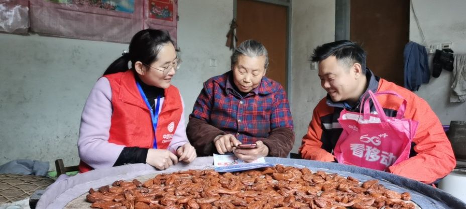 歙县|歙县长陔乡：小小“金疙瘩”卖出大山外