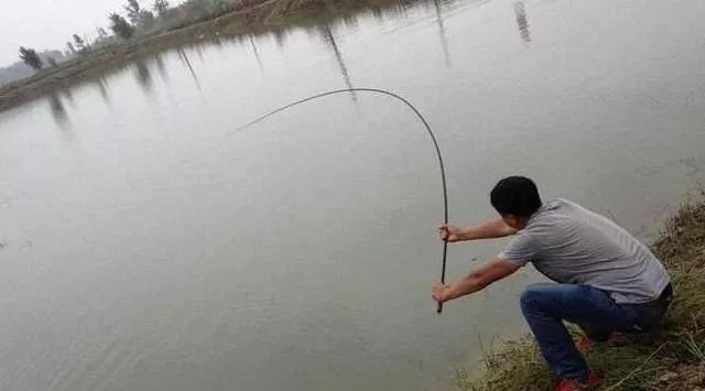 秋末钓鱼,钓“深”还是钓“浅”?选错就是浪费时间去喂鱼