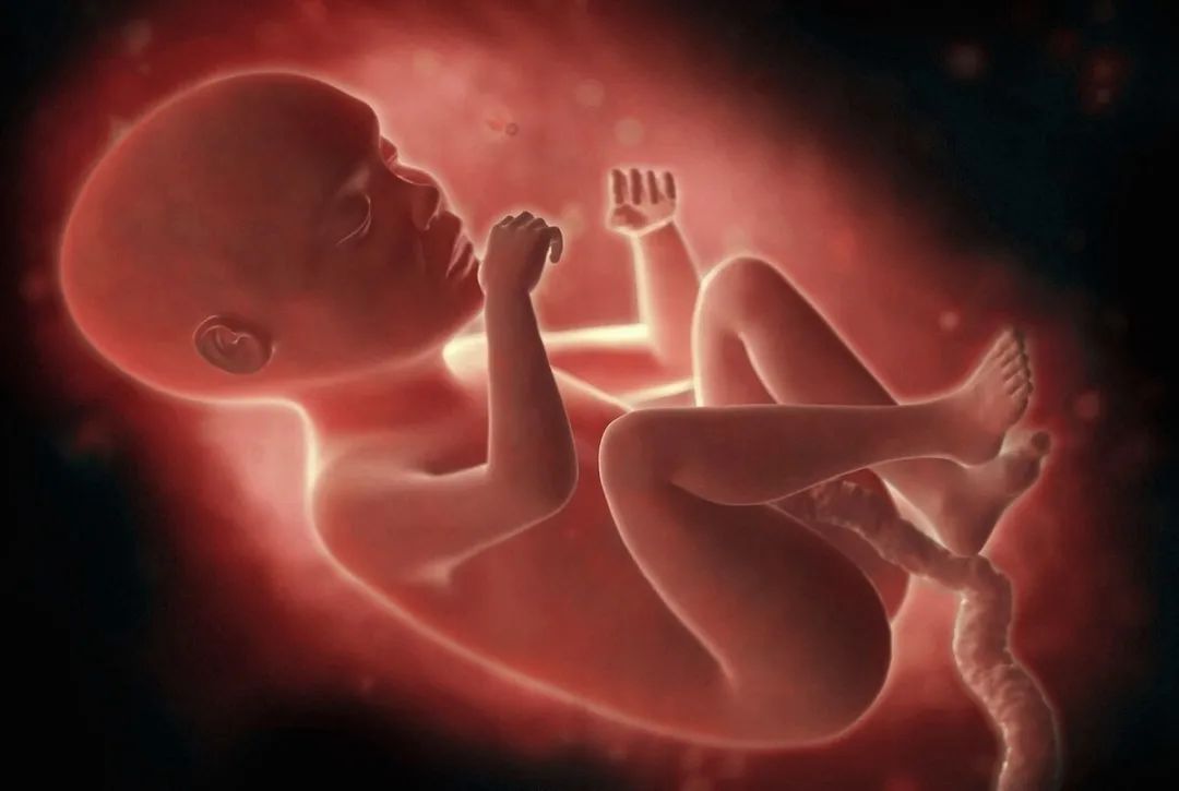 涨知识|怀孕最后一个月胎儿还会长多少和你想的不一样，了解一下涨知识