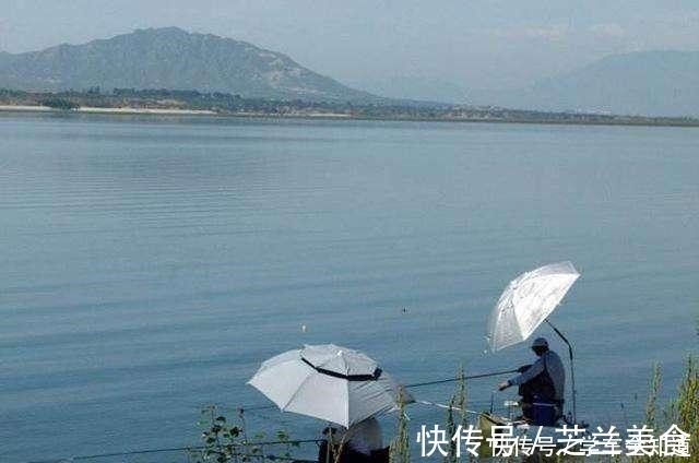 明白三个外界因素,才知道作钓时顺风好还是顶风好