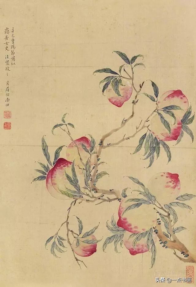 谢稚柳#谢月眉：花鸟圣手，凭天赋自学，成书画传奇