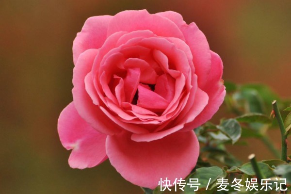 福运@俗话说:人生不如意,十之八九,牢记4句话,从此福运不断!