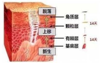月子期间怎样保养皮肤才会变白红润有光泽？这些护肤品孕期不能少
