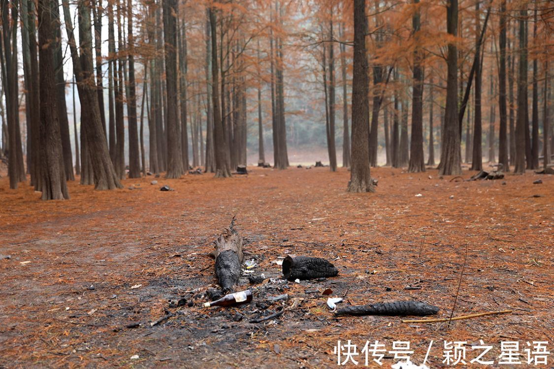 颖之|小众秘境风光,一个个被糟蹋,征集黄金古道有伤风景的照片