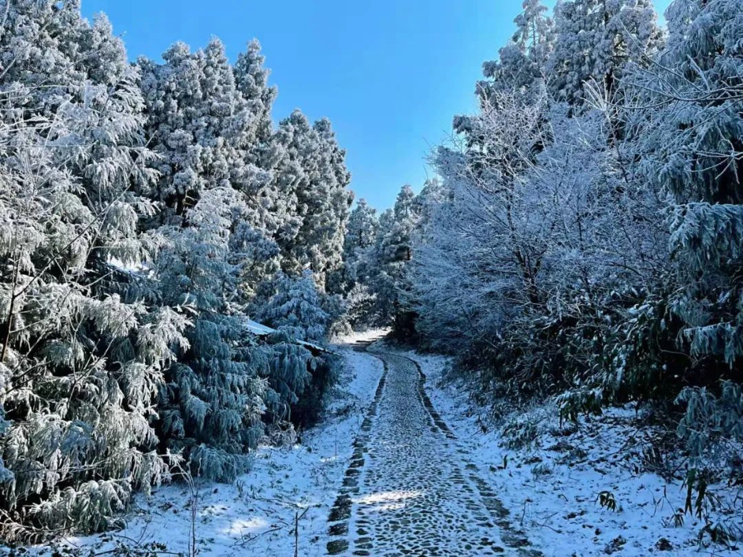 天台|天台绝美雾凇打卡地！这里有着南方人对冰雪的天然向往……