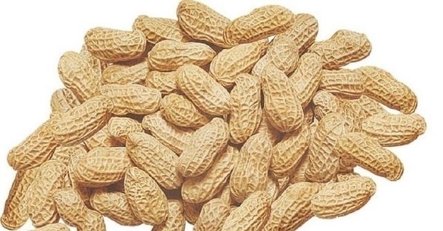 患者|花生好吃不贵,对身体还有很多好处,但这5类人不能吃