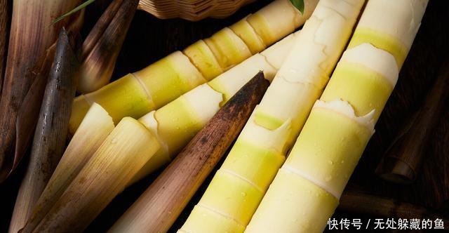 买竹笋时,挑粗的好还是长得好差别大了,别搞错了