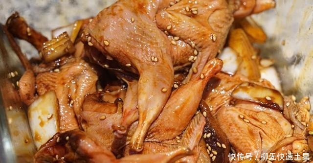 “動物人參”屬鵪鶉肉，“卵中佳品”是鵪鶉蛋！