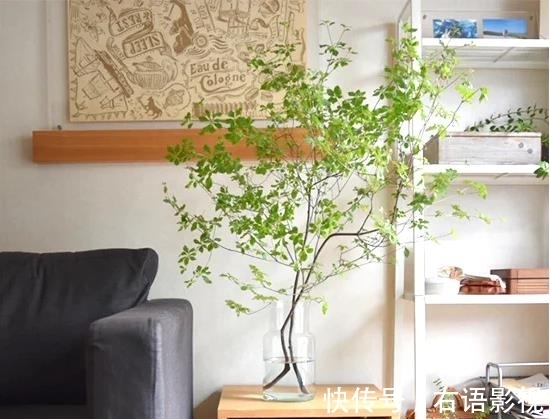 学问|房间布置,是一门学问