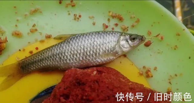 水库作钓要学会这样去打窝，简单好用渔获多！莫不信，高手们都这么做