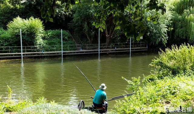 晴天好钓鱼,这可未必,这三种晴天出门钓鱼,颗粒无收才正常