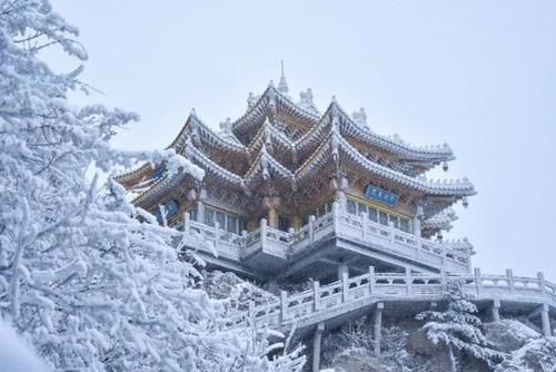 老君山|“老君山上吃泡面”，景区垃圾遍地，你怪说这话的人？