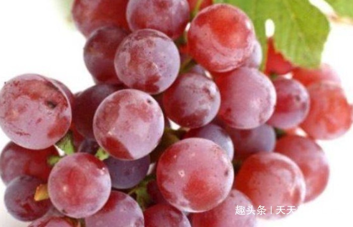 香椿|女性不想脸上爬满皱纹,常食4种食物,美容养颜,美容抗衰老