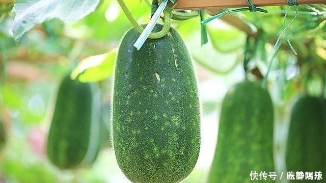 芦笋|天然的“降糖药”找到了,经常吃一点,有效降血糖,远离糖尿病