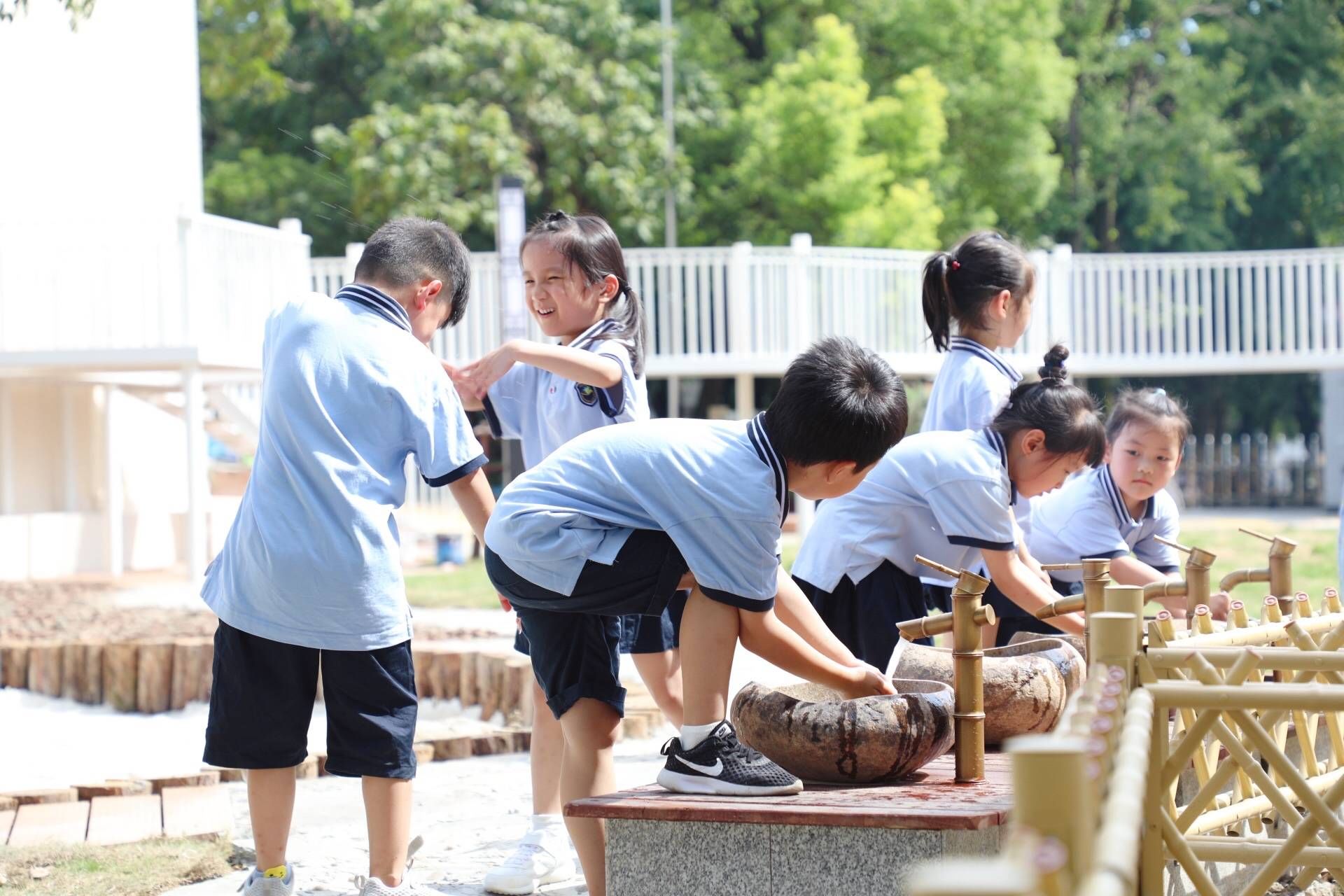 学校|颜值内涵双提升！桐乡这些学校迎来新变化