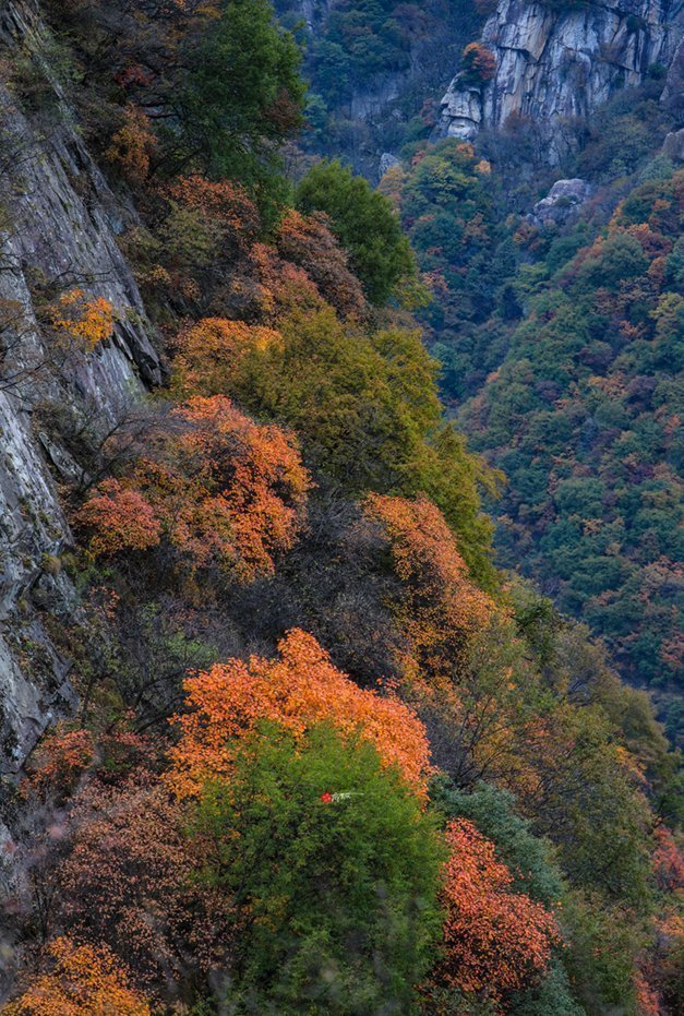 前山|铁顶太兴山，号称终南第一峰险过华山，我用七个小时带你走完全程