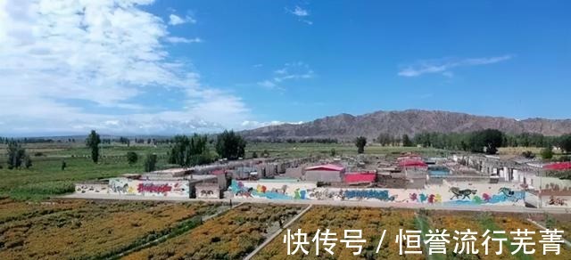 旅游|山丹旅游 ▏绚烂花海 如约而来！