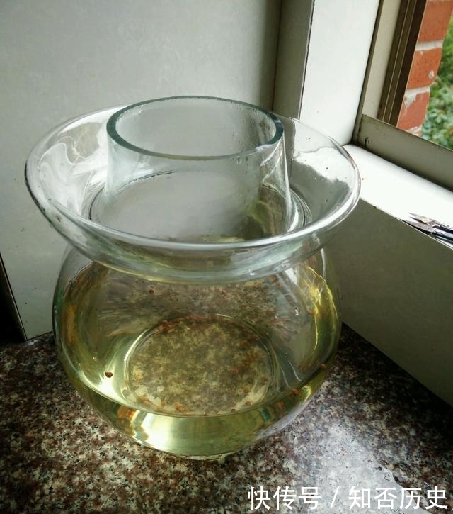 自制|自制泡菜,夏天做的泡菜