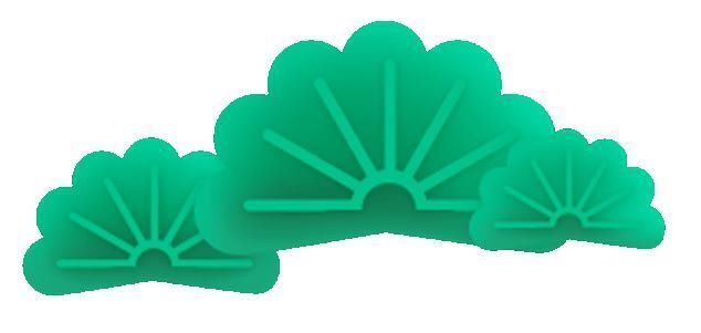 云赏花丨蝴蝶兰绚丽绽放,惊艳了盛夏时光