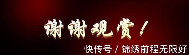 南城未暖你未归|小甜文,强推《南城未暖你未归》《你算那颗糖》《掌中之物》高甜