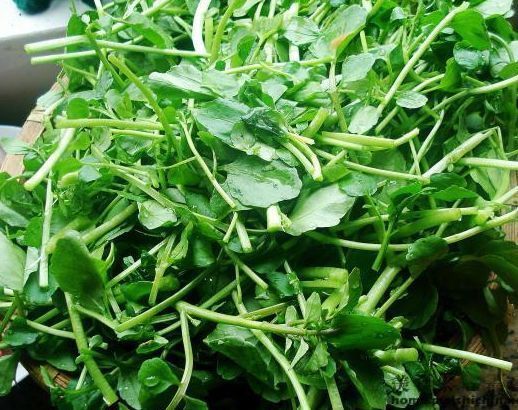 立冬后,三类食物别放过,改善睡眠,消除疲劳,助你健康