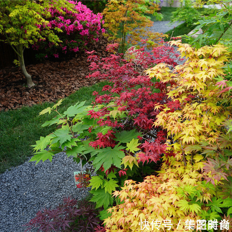 小院|现代日式混搭小院,没想到这么融洽舒适,这样的院子给我来一打!
