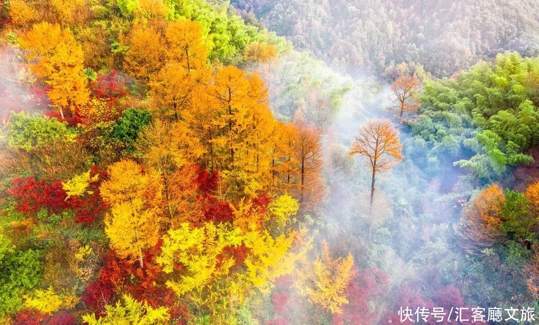  热血传奇|书藏古今，港通天下，海上丝路谱写的宁波热血传奇