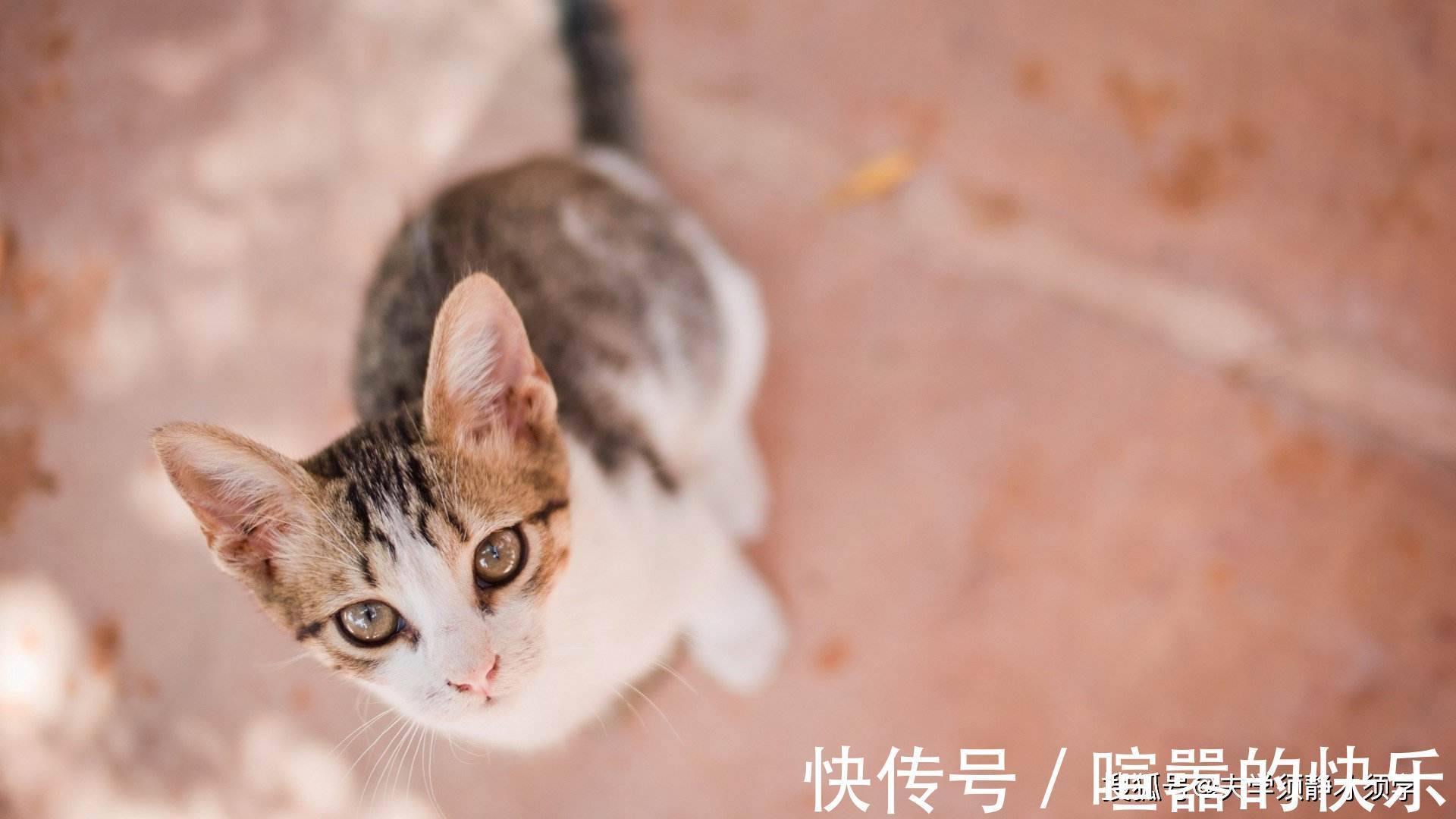 |幽默笑话:这两天感冒严重,我去医院就诊,给我输液的是一位美女护士!