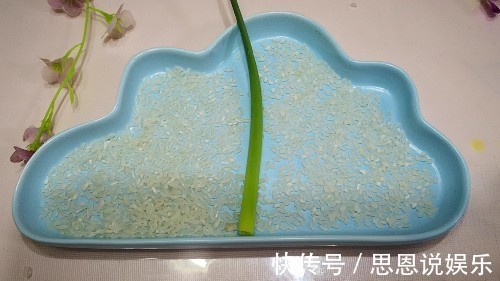 买大米时，长粒米和圆粒米哪个营养更好，又有啥区别涨知识了