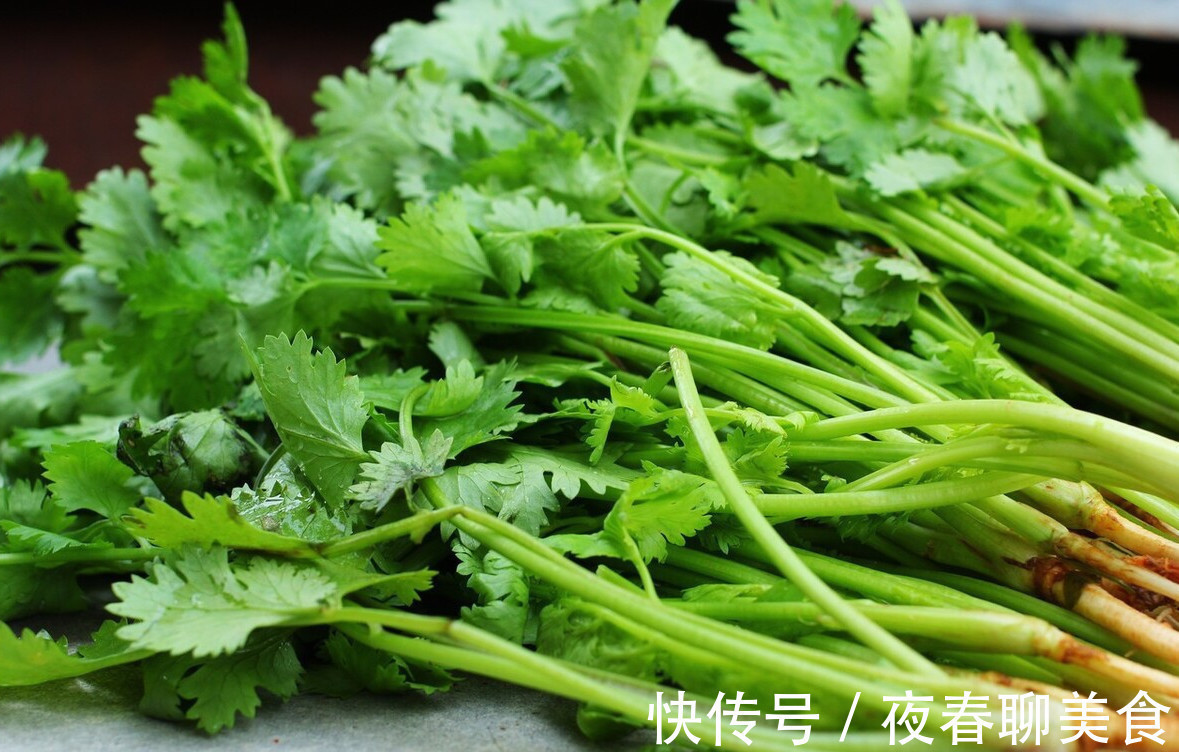 保存香菜有妙招,这3个方法久放不坏,香菜一年买两次就够了