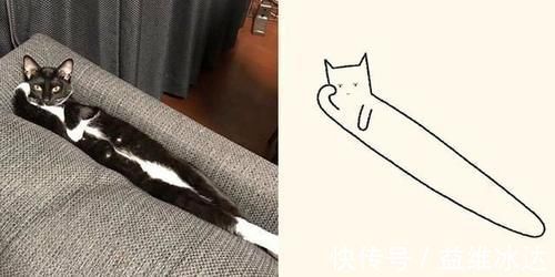 |“灵魂画手”笔下的宠物,抽象又搞笑的画风,完美抓住了“灵魂”