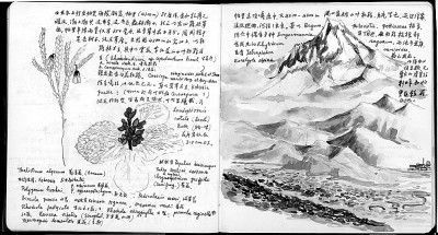 标本|一部诗意的、美学的科考手记