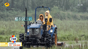 cp|“翰在义起”，真的有毒