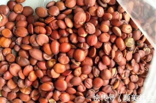 中国睡眠研究会|睡眠是免费的“长寿药”,总是失眠?拿它煮汤喝,助你睡得香!